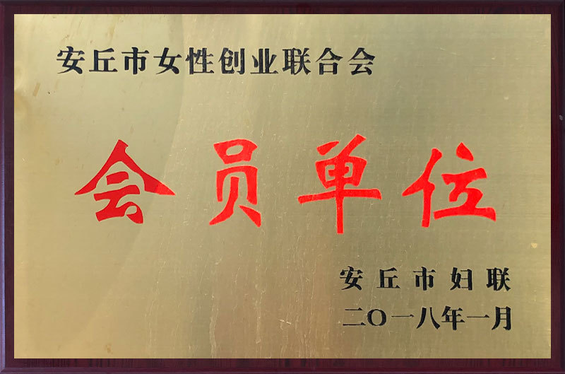 資(zi)質榮譽(yu)