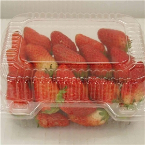 食品吸塑(sù)包裝應用(yòng)